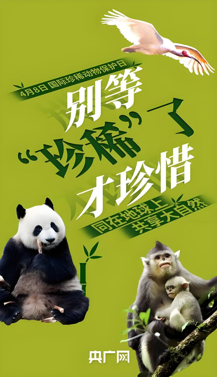 排行榜4